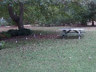 Medium01.jpg (244658 bytes)