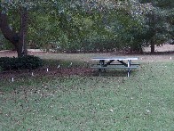 Medium02.jpg (248309 bytes)