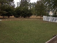 Medium03.jpg (196223 bytes)