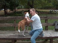 Medium04.jpg (176429 bytes)