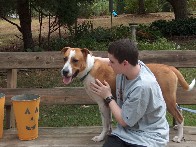 Medium05.jpg (173119 bytes)