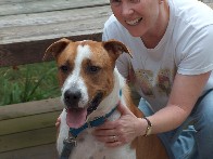 Medium06.jpg (103235 bytes)