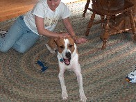 Medium10.jpg (183629 bytes)