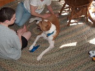 Medium11.jpg (180396 bytes)