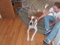 Medium12.jpg (151319 bytes)