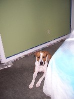 Medium17.jpg (83081 bytes)