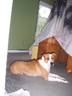 Medium18.jpg (106958 bytes)